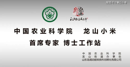 龙山味道受邀参加第十四届中国 山东 国际糖酒会